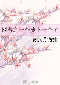 網游之一個蘿蔔一個坑