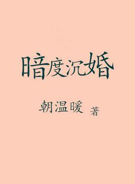 暗度沉婚