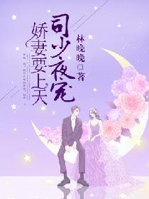 司少夜寵：嬌妻要上天