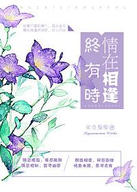 情在相逢終有時