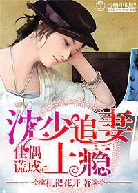 佳偶謊成，沈少追妻上瘾