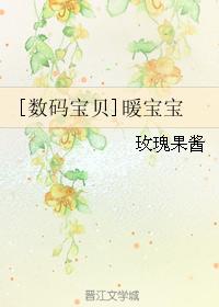 [數碼寶貝]暖寶寶