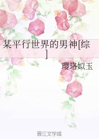 某平行世界的男神[綜]