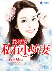 教授的私有小嬌妻
