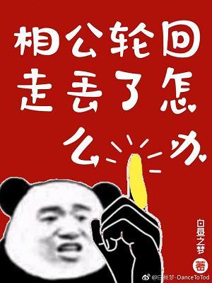 相公輪回走丢了怎麽辦