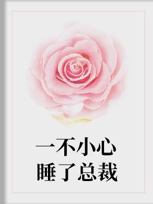 一不小心睡了總裁