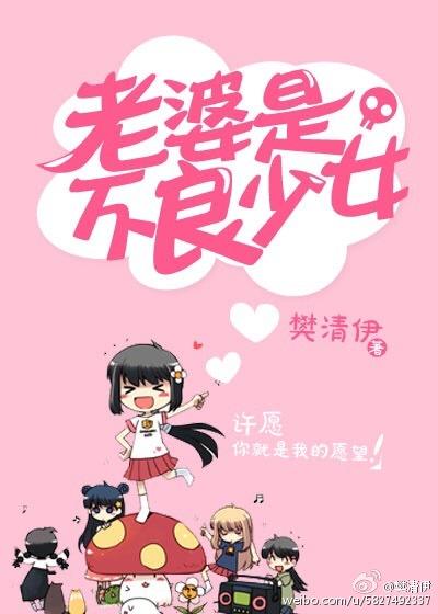 老婆是不良少女