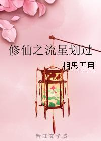 修仙之流星劃過