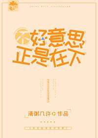 不好意思，正是在下