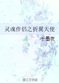 靈魂伴侶之折翼天使