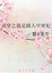 清穿之我是路人甲密妃