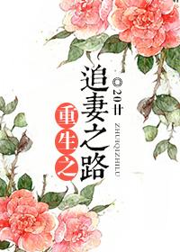 重生之追妻之路