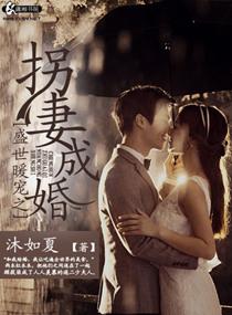 盛世暖寵之拐妻成婚