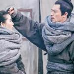 女醫明妃傳番外之半緣修道半緣君