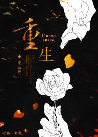 重生之腦殘粉歸來