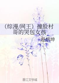 （綜漫網王）撞臉村哥的哭包女孩