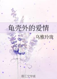 龜殼外的愛情