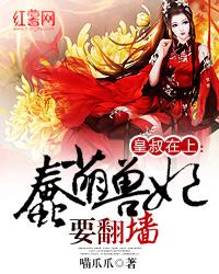 皇叔在上：蠢萌獸妃要翻牆