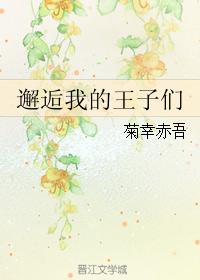 邂逅我的王子們