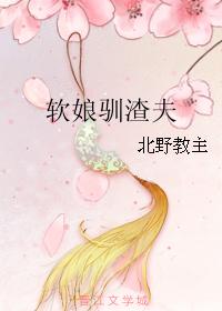 軟娘馴渣夫