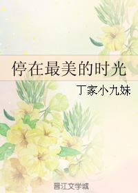 停在最美的時光