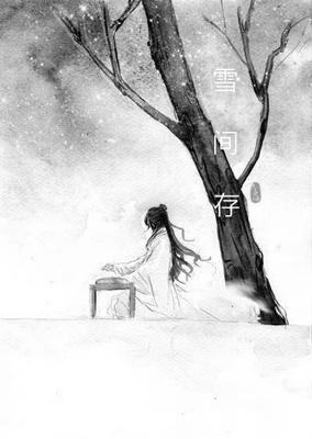 （琅琊榜）雪間存