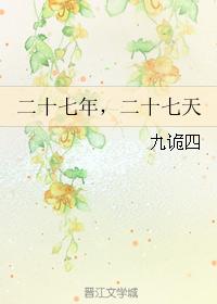 二十七年，二十七天