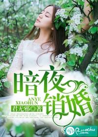 暗夜銷婚