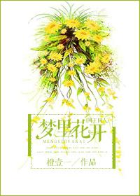 夢裏花開（網王同人）