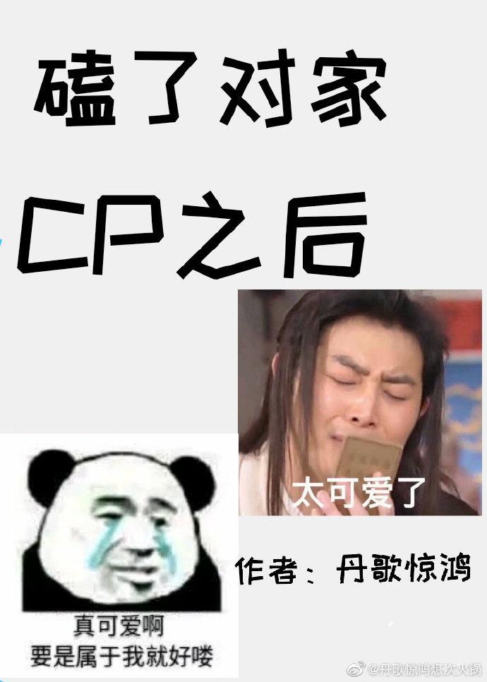 磕了對家CP之後
