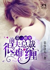 第一婚寵：總裁前夫很難纏