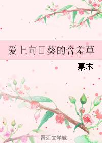 愛上向日葵的含羞草