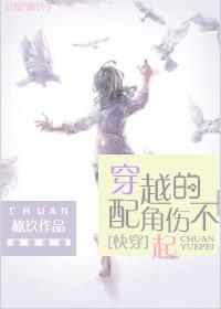 （快穿）穿越的配角傷不起
