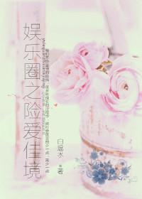 娛樂圈之險愛佳境