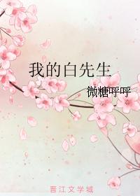 我的白先生