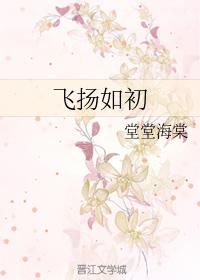 飛揚如初
