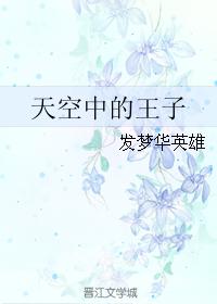天空中的王子