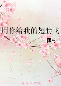 用你給我的翅膀飛