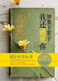 如果下輩子我還遇見你