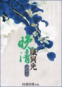 清穿之晚清鹹同光