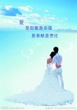 總裁的極品天使