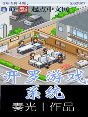 開羅游戲系統