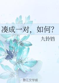 湊成一對，如何？