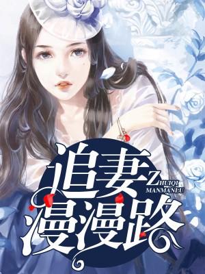 追妻漫漫路