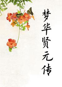 夢華賢元傳