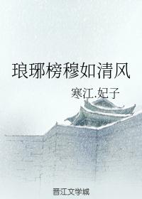 琅琊榜同人穆如清風