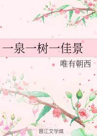 一泉一樹一佳景