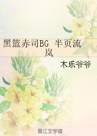 黑籃赤司BG 半頁流岚