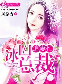 冰山總裁追妻忙