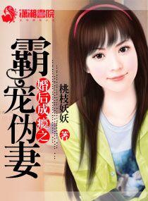 婚後成瘾之霸寵僞妻